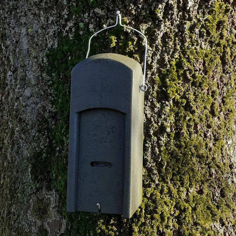 Fledermaus-Kuppelhöhlel aus Holzbeton - Sommerkasten für Fledermäuse - Winternisthöhle für Fledermäuse - Winterquartier - Sommerquartier