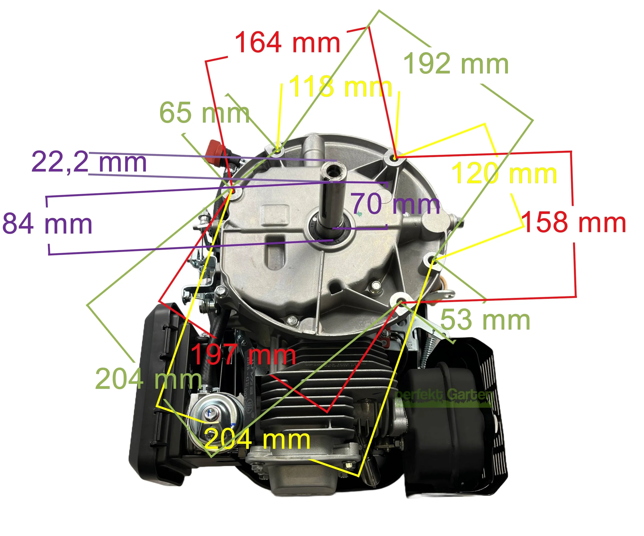 perfektGarten 6,5 PS Zongshen XP200A 196cc Seilzugstarter Rasenmähermotor 22,2 mm / 80 mm + Öl