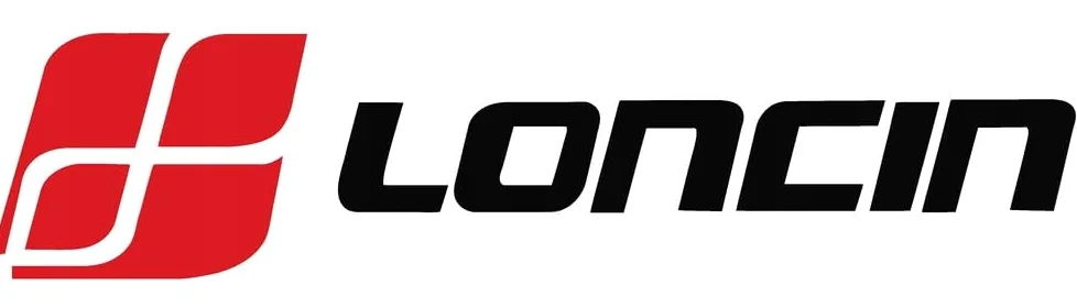 Loncin LC1P70FC-B 196cc Vertikalwellen-Motor 22,2 mm x 62 mm | 5,5 PS Euro-5 Benzinmotor für Rasenmäher | Hochwertiger Ersatzmotor mit Automatik-Choke und leichtem Schwungrad