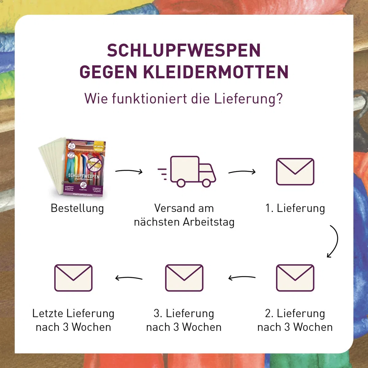 Plantura Schlupfwespen gegen Kleidermotten, Komplett-Lösung mit 12 Karten (3 Karten à 4 Lieferungen) - hochwirksame & nachhaltige Bekämpfung, Alternative zu Mottenkugeln